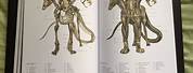 Book of Mythical Creatures Anatomy