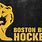 Boston Bruins Bear Wallpaper