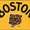 Boston Bruins Winter Classic Logo