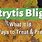 Botrytis Blight Treatment
