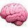 Brain Emoji Apple