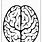 Brain Outline Coloring Page