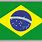 Brazil Flag to Print