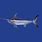 Broadbill Swordfish