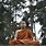 Buddhist Monk Meditating