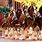 Budweiser Clydesdales Pictures
