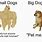 Buff Dog Small Dog Meme