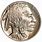Buffalo Nickel Coin