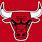 Bull Chicago NBA Team Logo