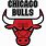 Bulls Team Logo