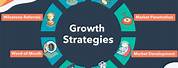 Business Growth Strategy