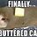 Butter Cat Meme