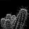 Cactus Background Black and White