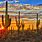 Cactus Desert Wallpaper