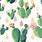 Cactus iPhone Wallpaper