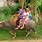 Carabao Riding