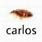 Carlos Bug Meme