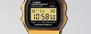 Casio Gold Digital Watch