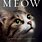 Cat Book Cover