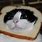 Cat Breading