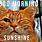 Cat Good Morning Sunshine