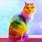 Cat with Rainbow