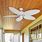 Ceiling Fans for Outdoor Porch