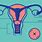 Cervix Anatomy Illustration
