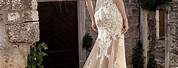 Champagne Lace Wedding Dresses