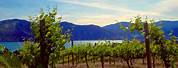 Chelan Ridge Winery