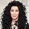 Cher Hair Wigs