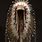 Cherokee Indian Headdress