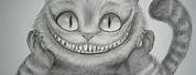 Cheshire Cat Tim Burton Full Body Drawing
