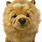 Chow Chow Plush Toy