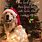 Christmas Pet Quotes