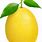 Citron Citrus Fruits