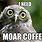 Coffee Owl Meme