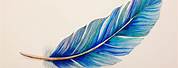 Colored Pencil Feather Drawing
