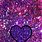 Colorful Glitter Hearts Wallpaper