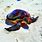 Colorful Real Sea Turtles