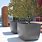 Commercial Outdoor Planters Large