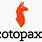 Cotopaxi Logo