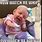 Crazy Funny Baby Memes
