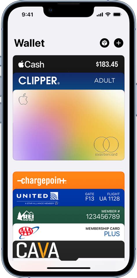 Credit Card Payoff App Iphone