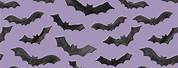 Cute Bat Wallpaper