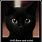 Cute Black Cat Sayings