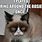 Cute Evil Cat Memes