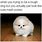 Cute Fluffy Animal Memes