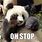 Cute Panda Memes