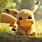 Cute Pikachu Desktop Wallpaper